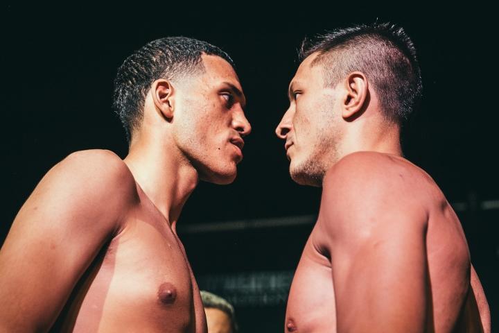 Benavidez Gavril Weights
