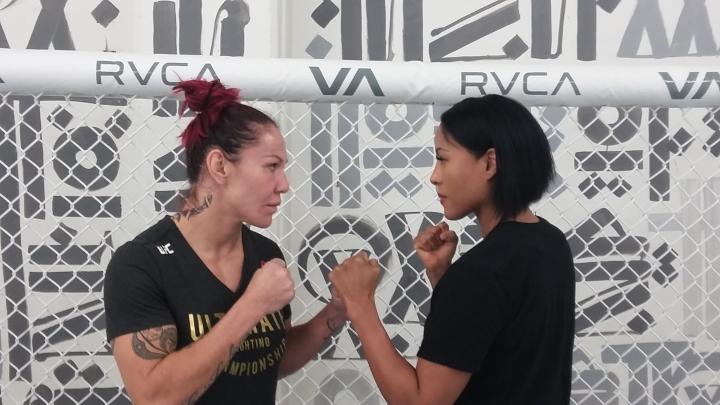 Braekhus Cyborg