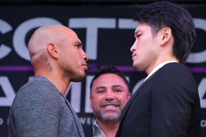 Cotto Kamegai