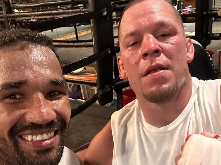 Falcao Nate Diaz