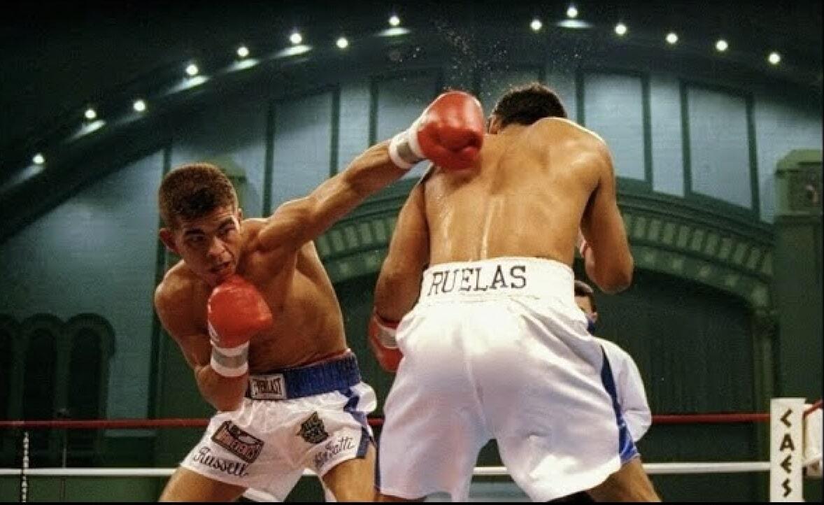 Gatti