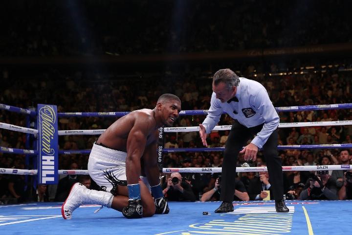 Joshua Andy Ruiz Fight