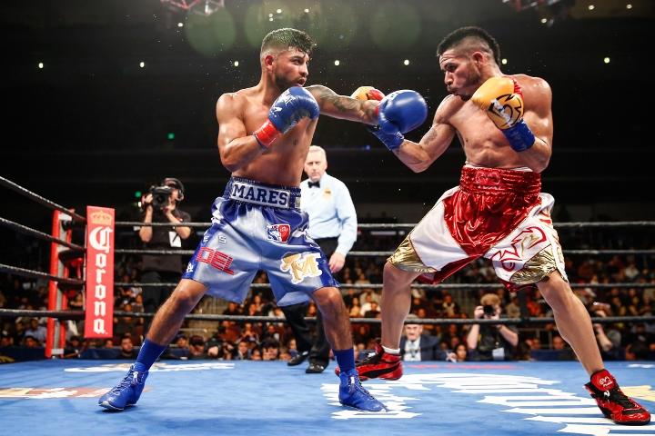 Mares Cuellar Fight