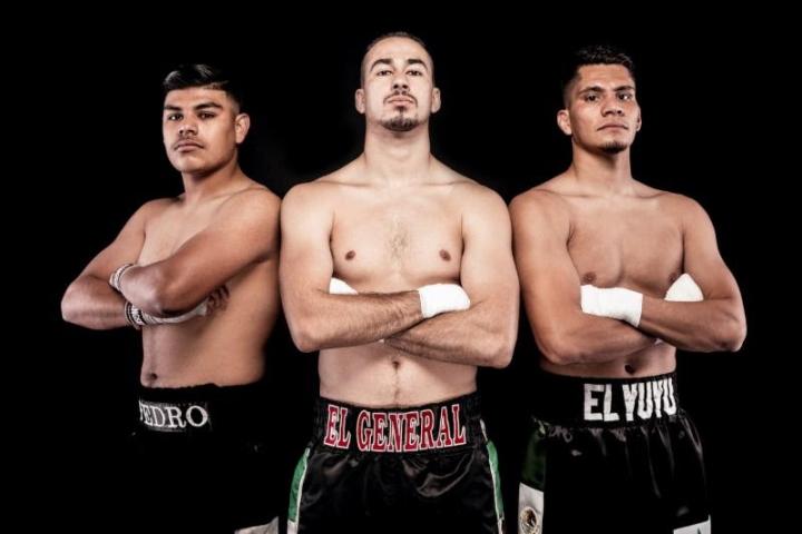 Thompson Boxing