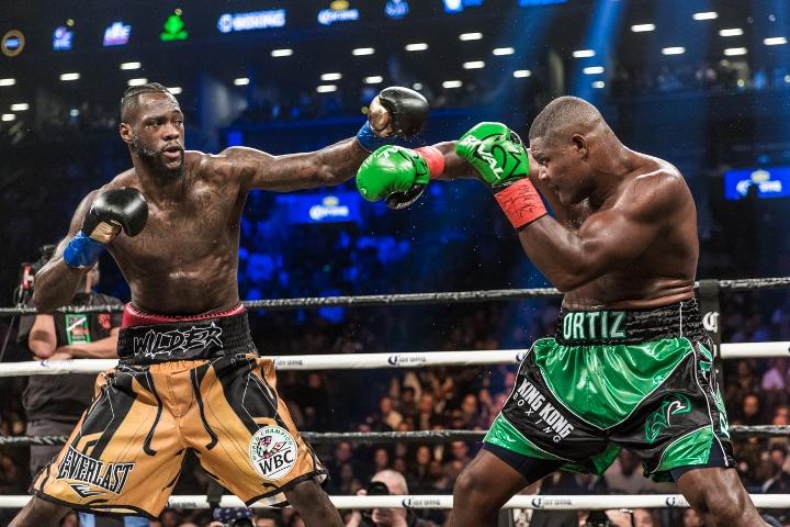 Wilder Ortiz Fight