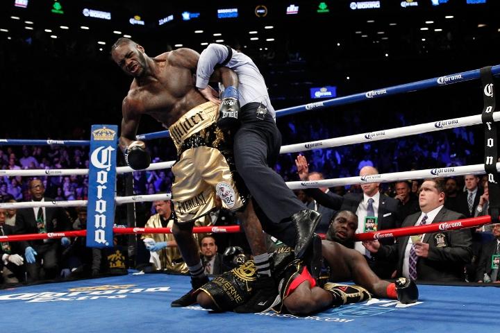 Wilder Stiverne Rematch